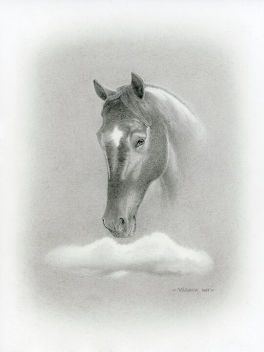 CHEVAL & NUAGE Resim, 11,7x8,3 in