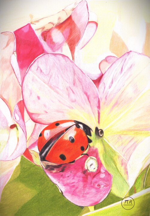 Coccinelle 图画, 15.8x11 in