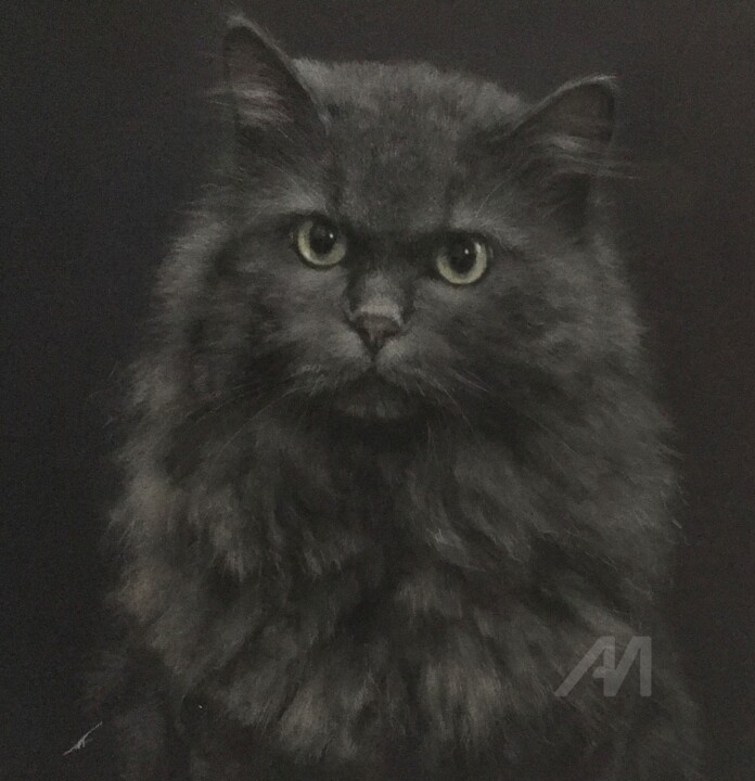 Black cat 图画, 11.8x10.6 in