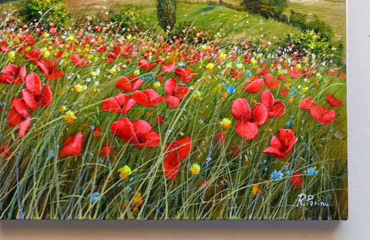Vistas adicionales 5