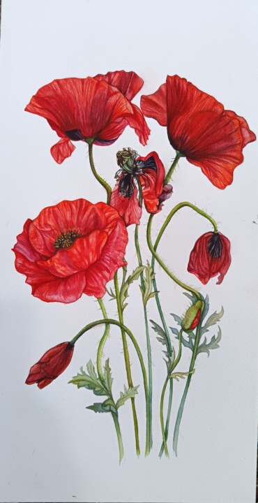 Poppies Картина, 15,8x7,9 in