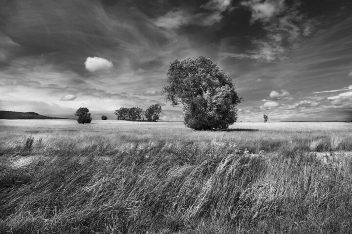 Photographie intitulée "Paysage noir et bla…" par André Martin, Œuvre d'art originale, Photographie non manipulée