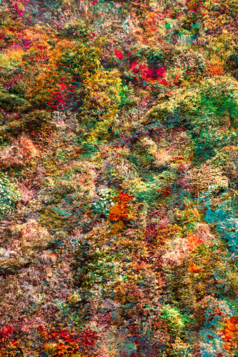 Wall of Nature LXIX Fotoğraf, 23,6x15,8 in