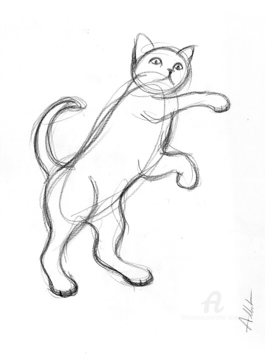 Chat dressé-A-0040 Disegno, 16,5x11,7 in