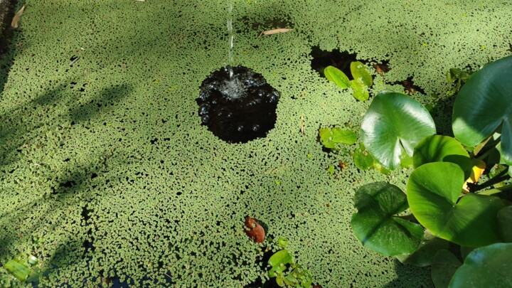 Photographie intitulée "Fontaine" par Roland Guyomard, Œuvre d'art originale, Photographie non manipulée
