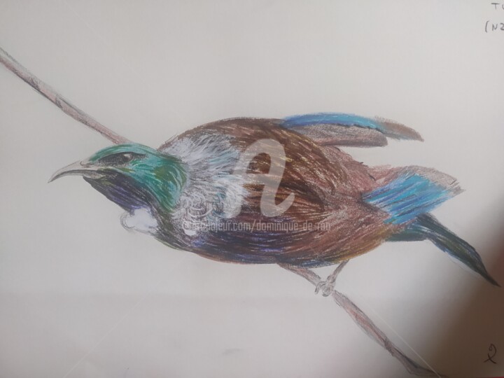 Le Tui de Nouvelle Zélande 绘画, 7.9x11.8 in