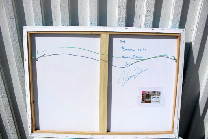 Additional views 5