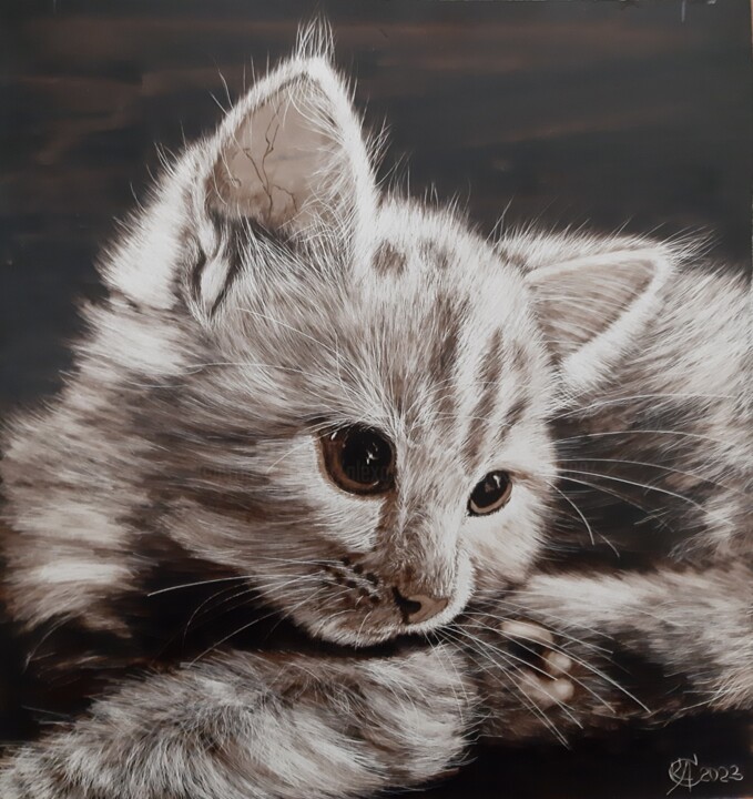 Knopa 绘画, 10.2x9.8 in