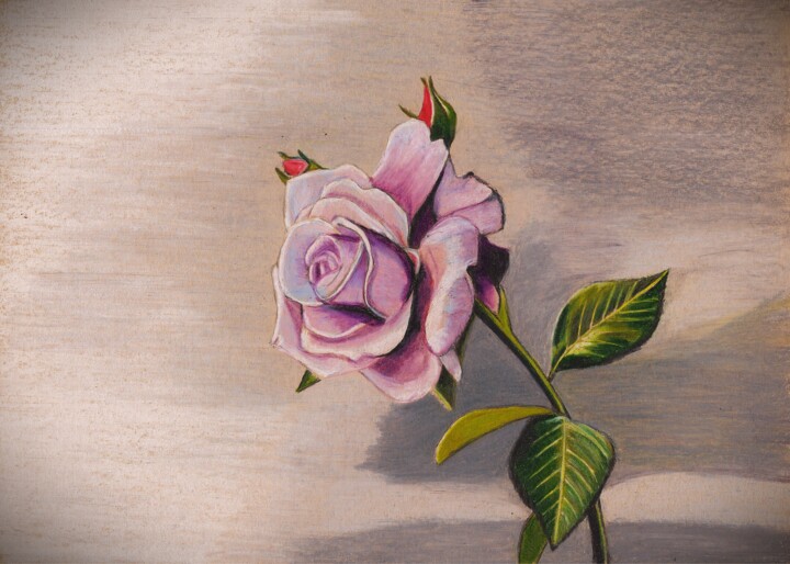 Une simple rose Resim, 7,9x11 in