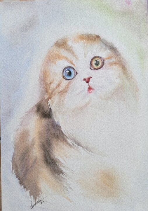 watercolor Scottish fold cat 绘画, 10.2x7.1 in