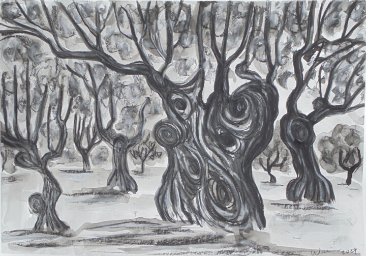 Field of Olives Trees 图画, 16.5x23.2 in