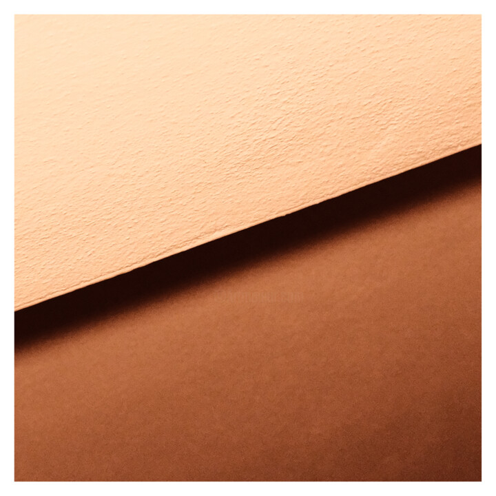 XXVIII (brown) Fotoğraf