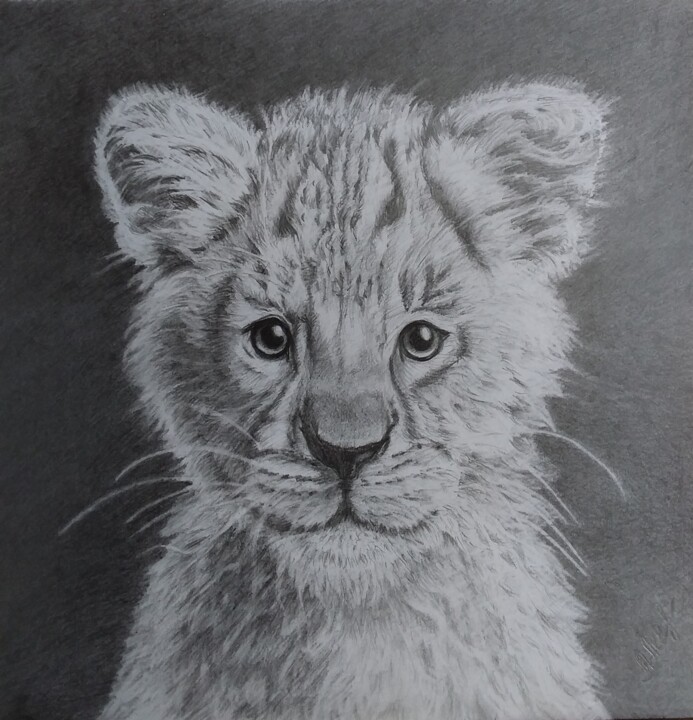 Котенок ирбиса 图画, 7.9x7.9 in