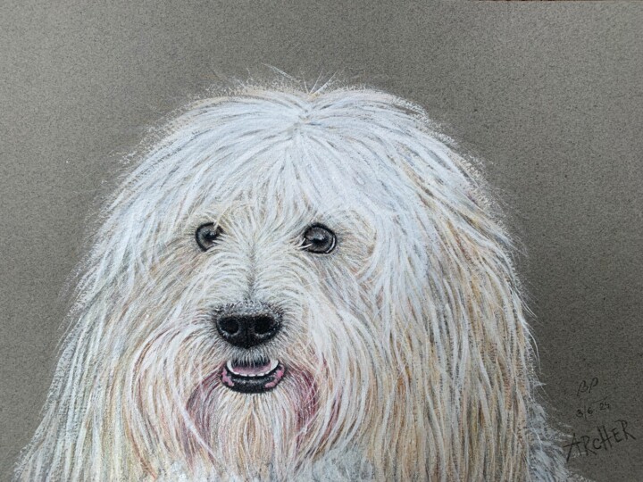 Painting titled "“ARCHER”" by Bara Puletz, Original Artwork, Pastel Mounted on Wood Panel