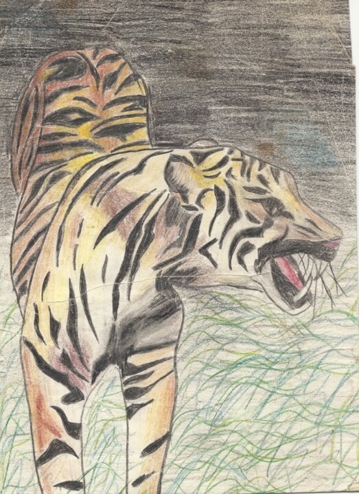 Dessin de tigre 图画, 11.4x8.3 in