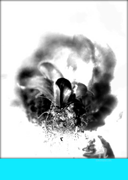数字艺术 标题为“Cima” 由Jean Philippe Desmoulins, 原创艺术品, 三维建模