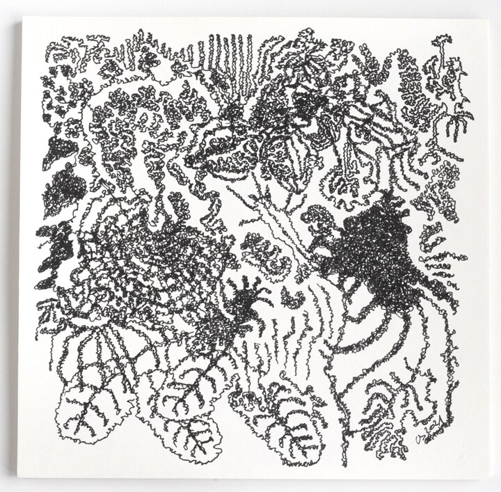 Plantations 1 Tekening, 10x10 in