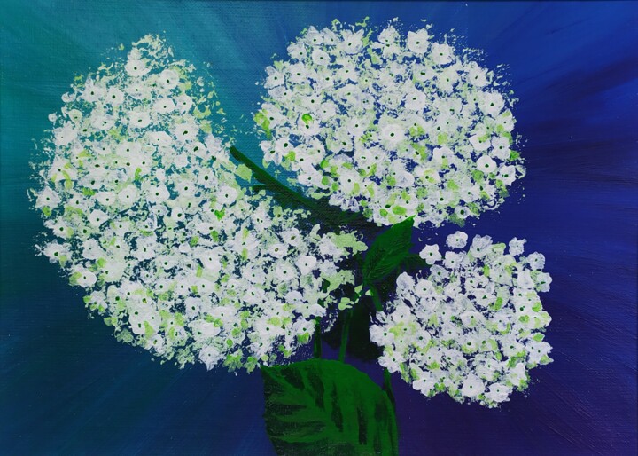 Hydrangea