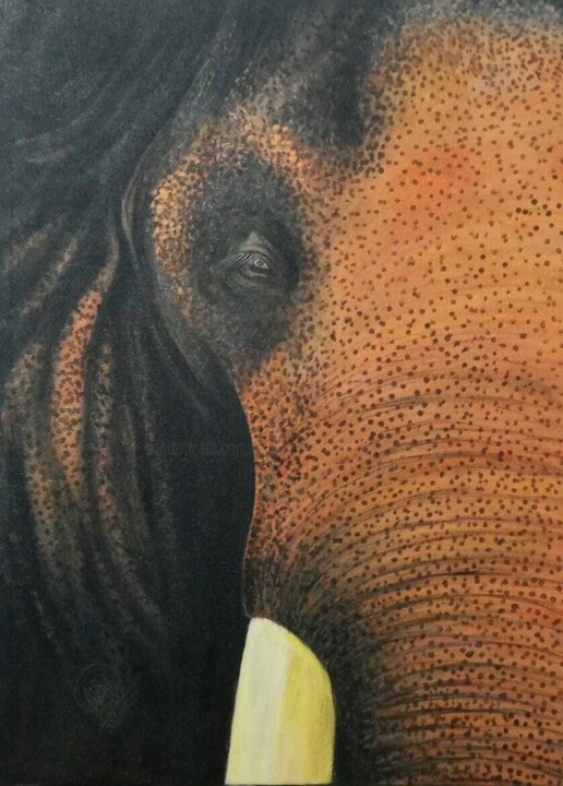 Painting titled "Ivory Majesty" by Hiran Sumith Fernando, Original Artwork, Acrylic
