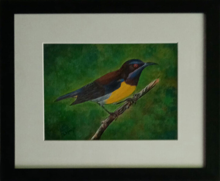 Painting titled "Feathered Serenity" by Hiran Sumith Fernando, Original Artwork, Acrylic Mounted on Glass