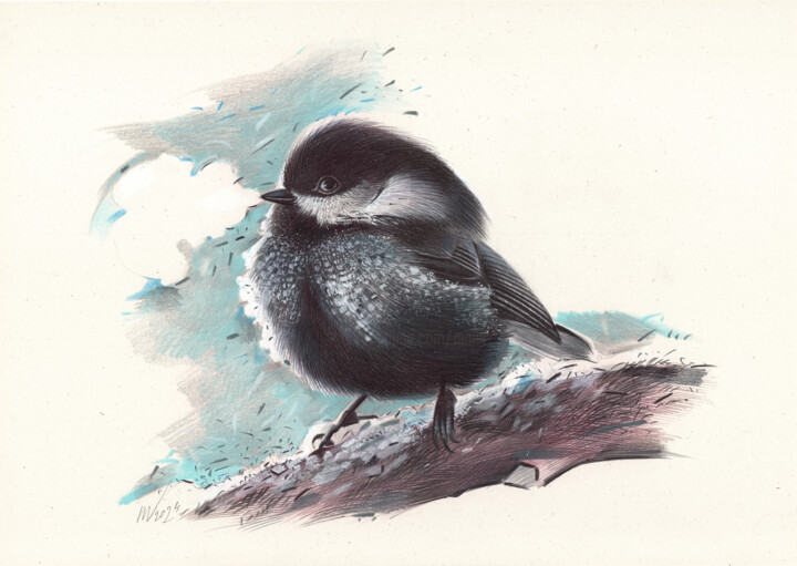 Coal Tit II 图画, 8.3x11.7 in