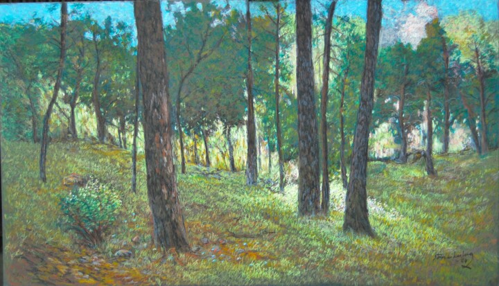 Drawing titled "40PA" by Ari Reinikainen, Original Artwork, Pastel