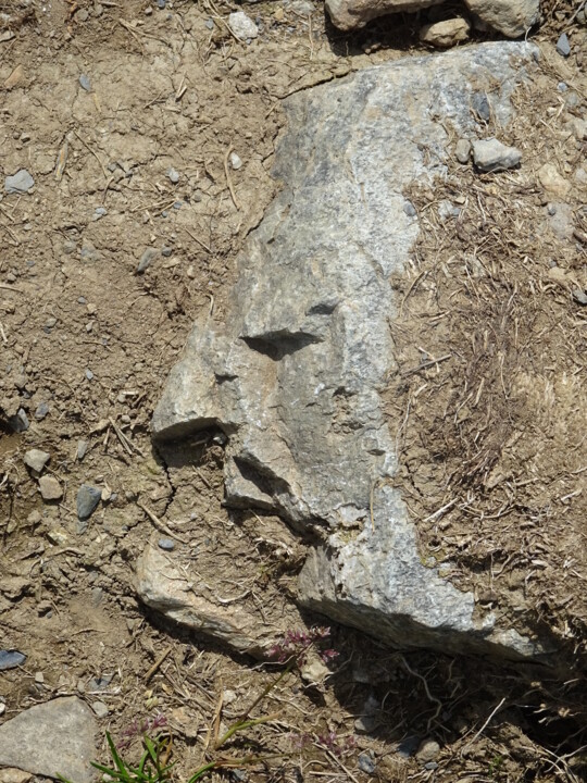 Photographie intitulée "Désiste" par Jeanpierre Allano, Œuvre d'art originale, Photographie non manipulée