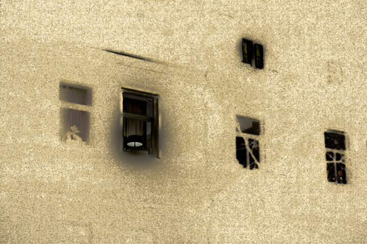 Fotoğraf 