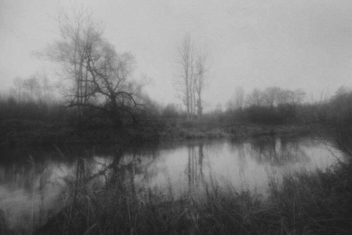 From the project "Silence speaks" 2 摄影