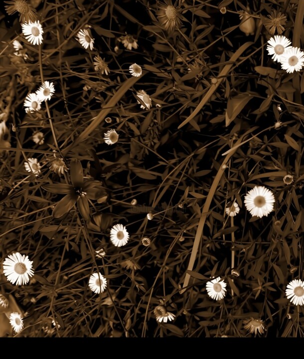 untitled028 摄影