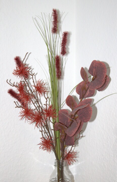 Schattenspiel in Rot 摄影