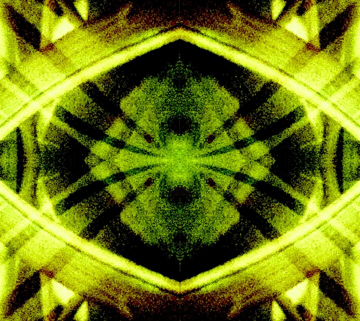 摄影,  26.7x30 in 