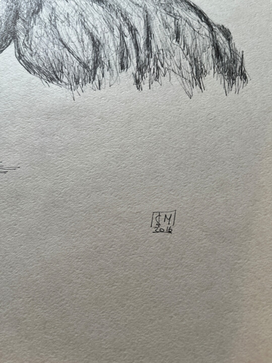其他意见 3