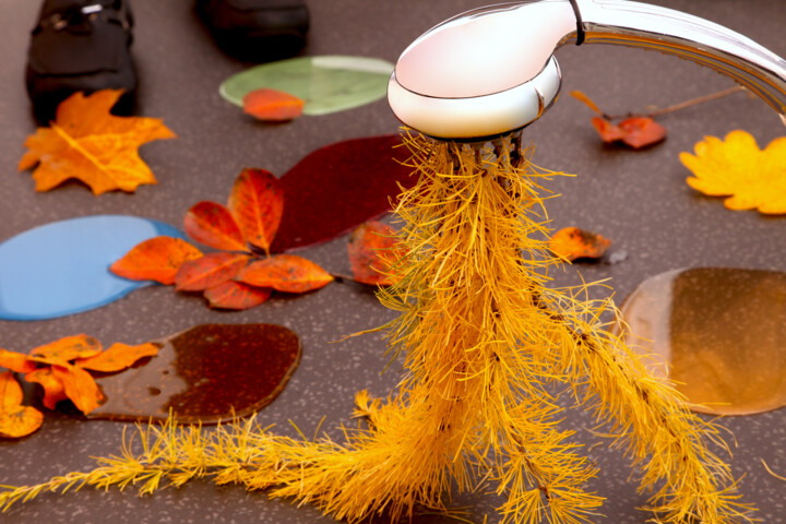 Stepping boldly into fall. 摄影