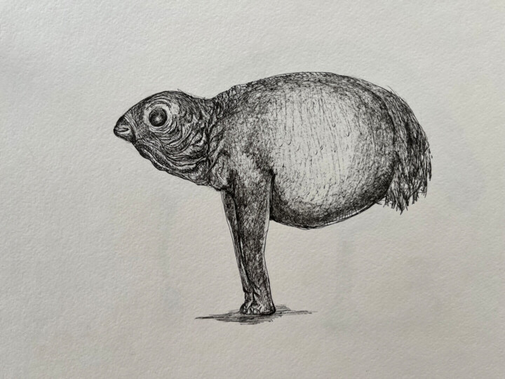 其他意见 2