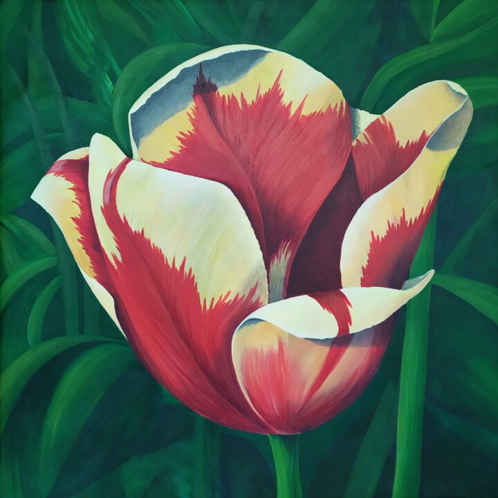 Tulip
