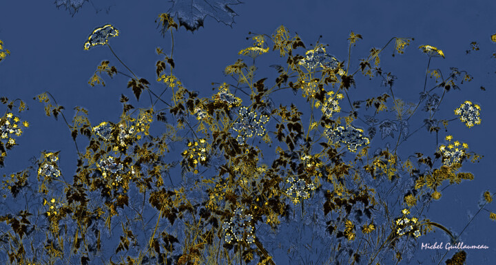 Fleurs d'artifice 数字艺术, 12.6x23.6 in