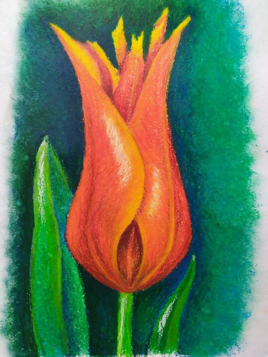 Fire tulip
