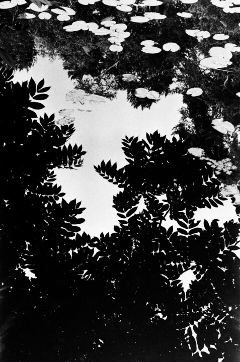 Ink impressions 摄影