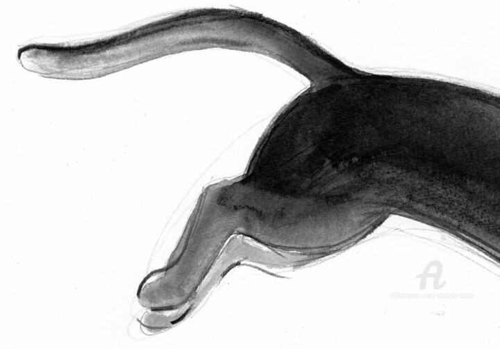 Détails