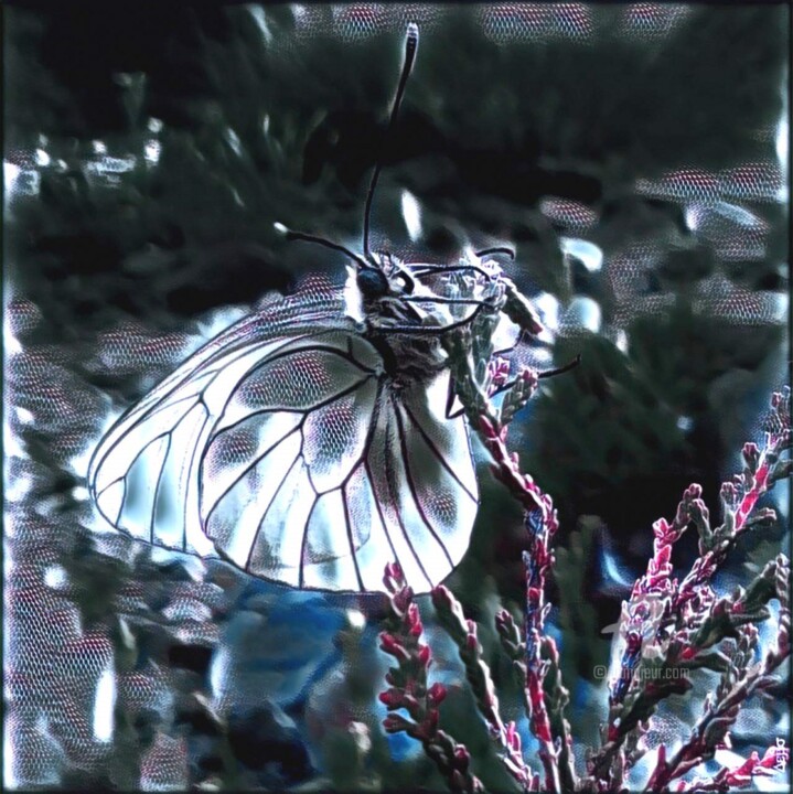 摄影 