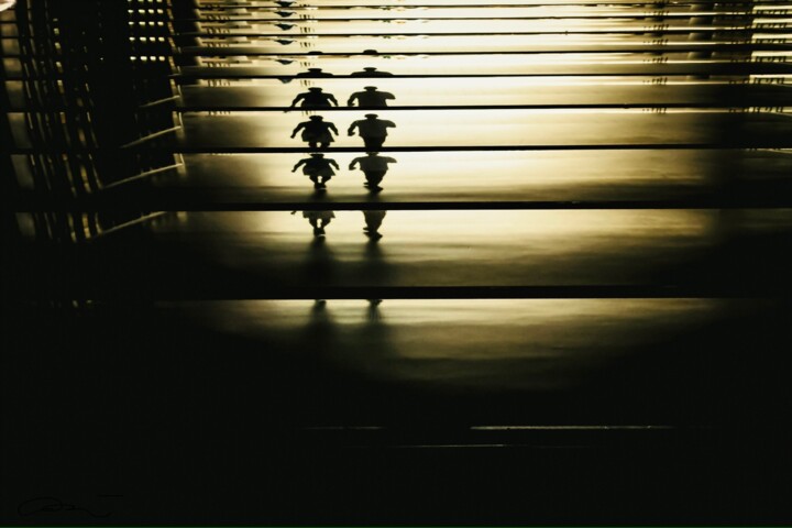 "Camarade" başlıklı Fotoğraf Mélanie Stéphanie Massé Artiste tarafından, Orijinal sanat, Işık Boyama