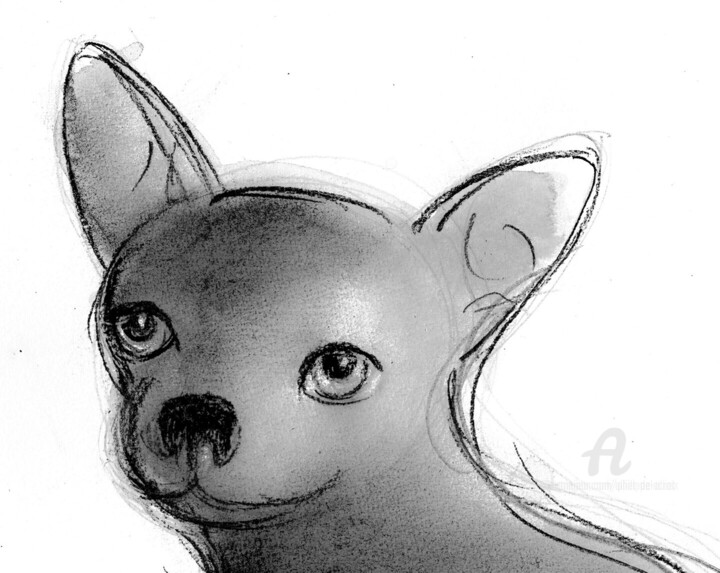Détails