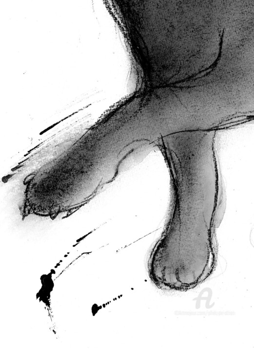 Détails