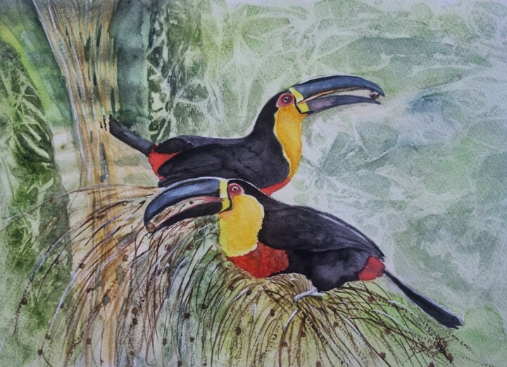 Tucano de Bico Preto 绘画, 9.1x12.2 in