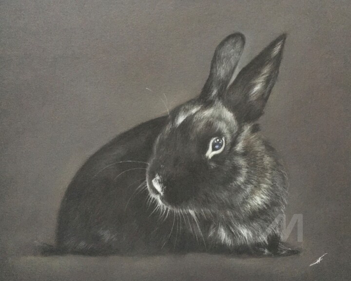Blacky 图画, 10.2x12.6 in