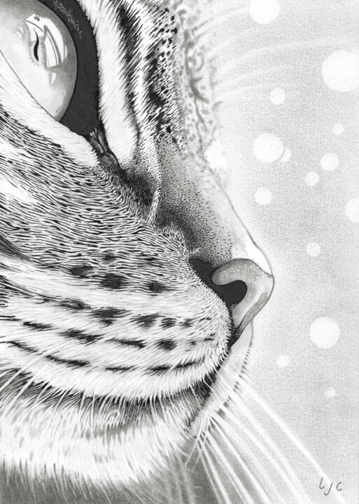Chat "Félicette" 图画, 11.7x8.3 in