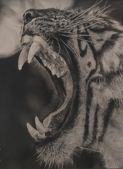 'R O A R' to save the wildlife 图画, 16.5x11.8 in