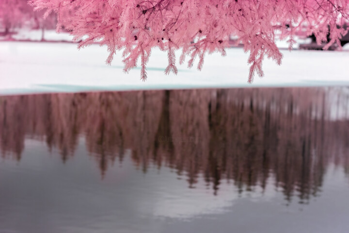 INFRARED PHOTOGRAPHY | REFLEXES Fotoğraf