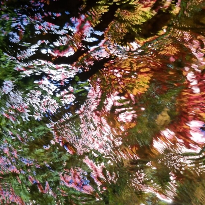 Photographie intitulée "Tissage 8" par Sylvie Chapuis, Œuvre d'art originale, Photographie non manipulée
